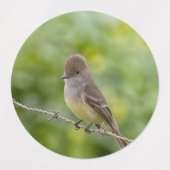 Flycatcher Labels (Design 1)