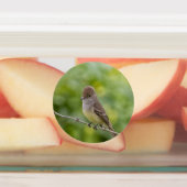 Flycatcher Labels (Aangebracht)