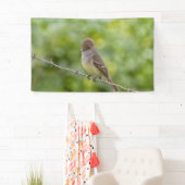 Flycatcher Spandoek (Insitu)