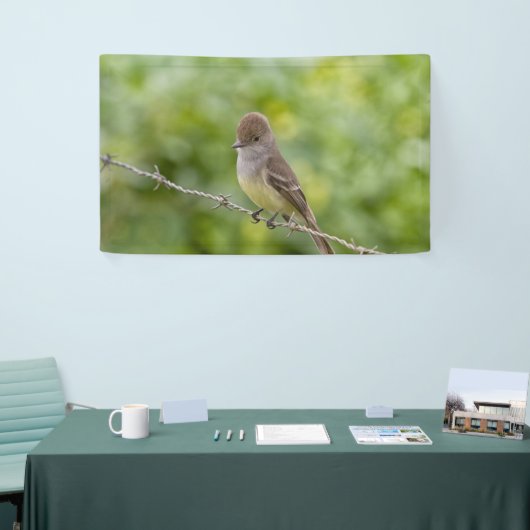 Flycatcher Spandoek (Beurs)