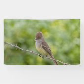 Flycatcher Spandoek (Horizontaal)