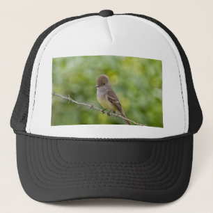Flycatcher Trucker Pet