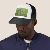 Flycatcher Trucker Pet (In situ)