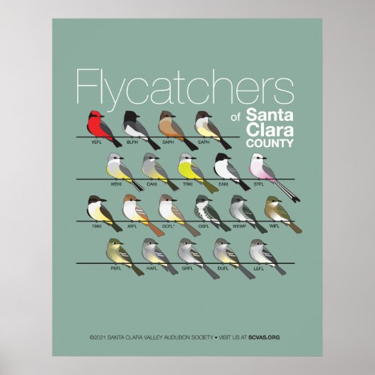 Flycatchers voor het Poster van Santa Clara County (Voorkant)