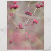 Flyer Bloemen Tuin (Achterkant)