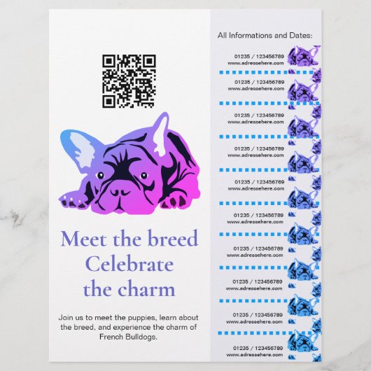 Flyer Franse Bulldog Kennismaking (Voorkant)