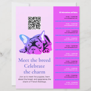 Flyer Franse Bulldog Kennismaking 