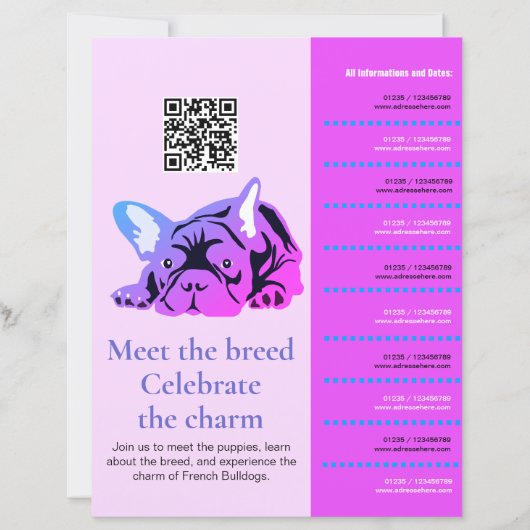 Flyer Franse Bulldog Kennismaking (Voorkant)