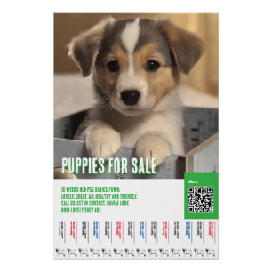 Flyer sjablonen voor puppies te koop perfect poster