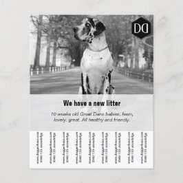 Flyer "Verkoper"