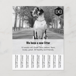 Flyer "Verkoper"