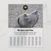 Flyer "Verkoper" (Voorkant)