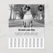 Flyer-verkoper Flyer (Voorkant)