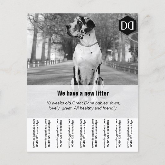 Flyer-verkoper Flyer (Voorkant)