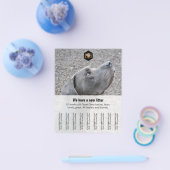 Flyer-verkoper Flyer (Enkel)