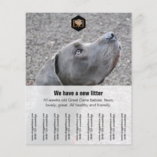 Flyer-verkoper Flyer (Voorkant)