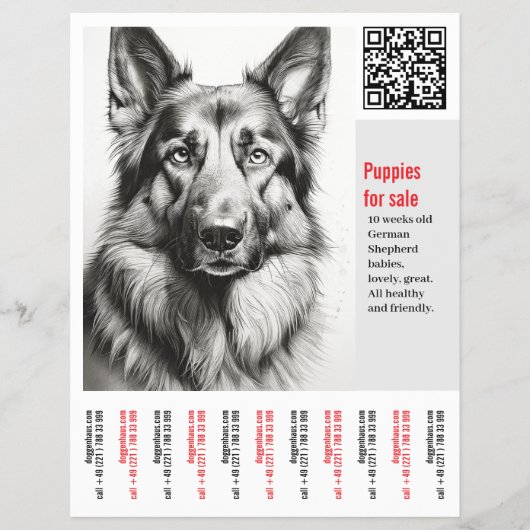 Flyer voor Duitse Herdershond (Voorkant)