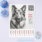 Flyer voor Duitse Herdershond (Enkel)
