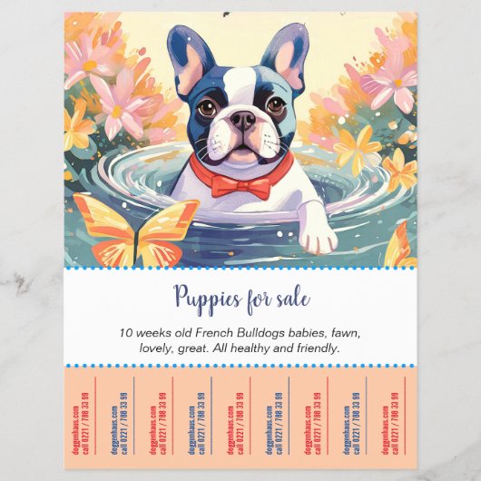 Flyer voor Franse Bulldog Pups  (Voorkant)