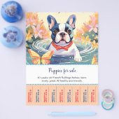 Flyer voor Franse Bulldog Pups  (Enkel)