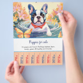 Flyer voor Franse Bulldog Pups  (Hand)