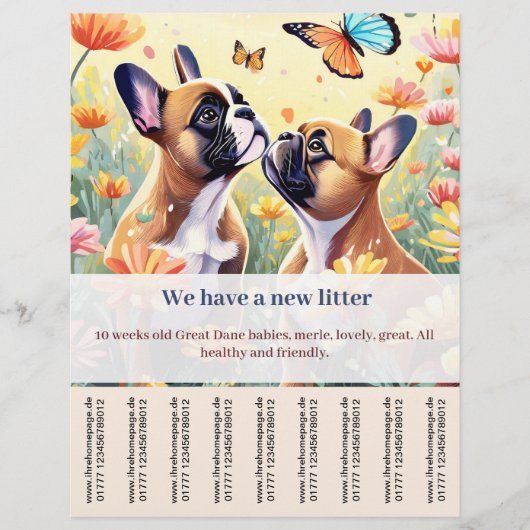 Flyer voor Franse pup te koop (Voorkant)