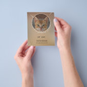 Flyer voor kattenliefhebbers (Hand)