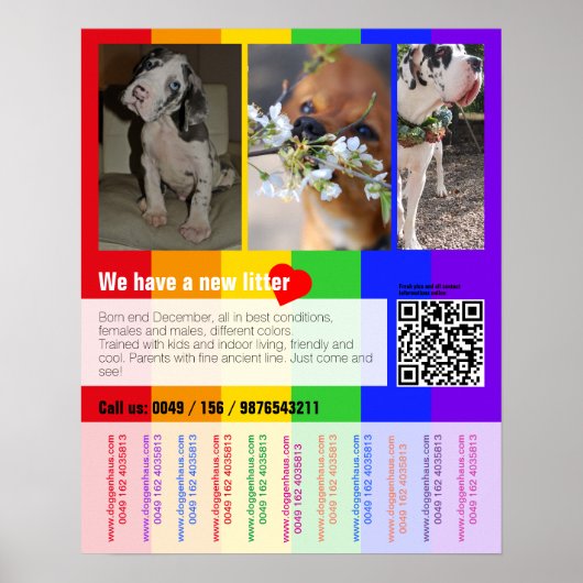 Flyer voor puppy's te koop met QR-code Poster (Voorkant)