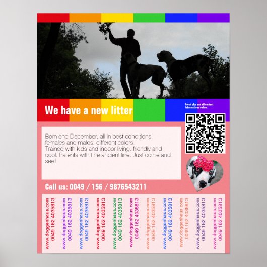 Flyer voor puppyverkoop met QR-code Poster (Voorkant)