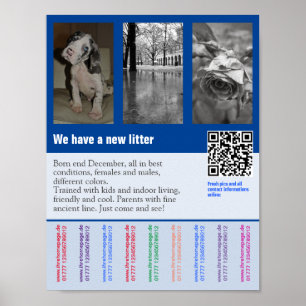 Flyer voor puppyverkoop met QR-code Poster