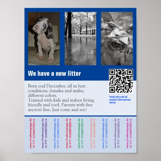 Flyer voor puppyverkoop met QR-code Poster (Voorkant)
