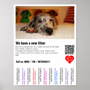 Flyer voor puppyverkoop met QR-code Poster