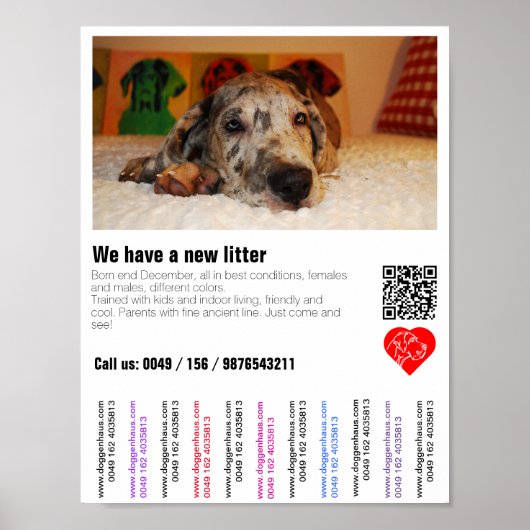 Flyer voor puppyverkoop met QR-code Poster (Voorkant)