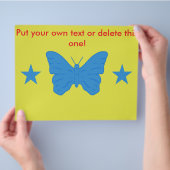 Flyer with Flag of Bady Bassitt, Brazil (Hand)