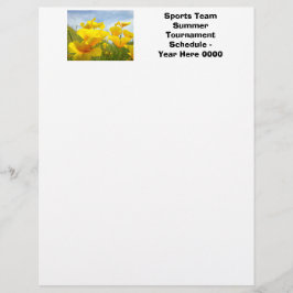 Flyers Aangepast Sportteam Zomertoernooi