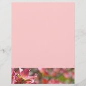 Flyers Creëer uw eigen roze droogtrommels (Voorkant)