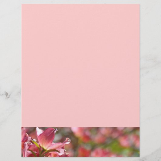 Flyers Creëer uw eigen roze droogtrommels (Voorkant)