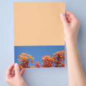 Flyers Ontwerper Vellen Kleurrijke Herfstboom Blad (Hand)