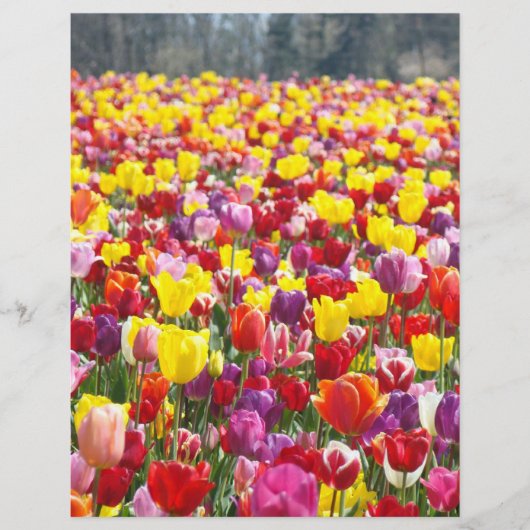 Flyers Papier Lente Thema Tulp Bloemen (Voorkant)