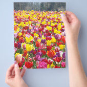 Flyers Papier Lente Thema Tulp Bloemen (Hand)
