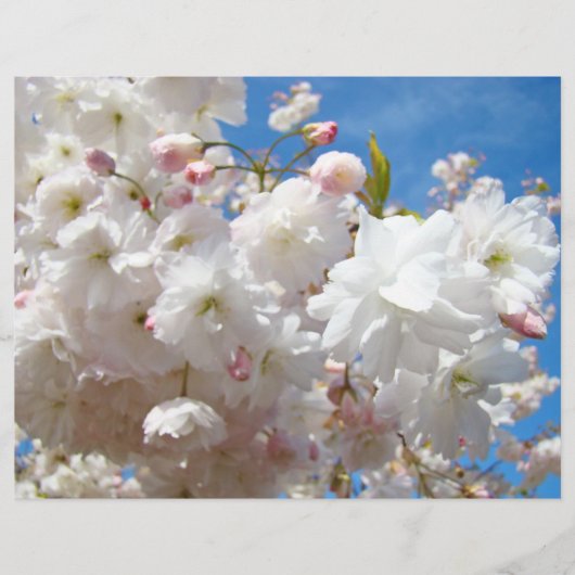 Flyers papier Maak je eigen aangepaste Bloesems (Voorkant)