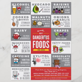 Flyers - 's werelds meest gevaarlijke voedsel voor