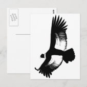 Flying Andean Condor Briefkaart (Voorkant / Achterkant)