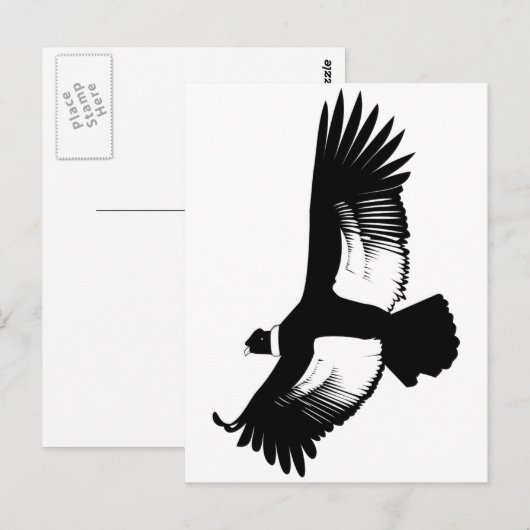 Flying Andean Condor Briefkaart (Voorkant / Achterkant)