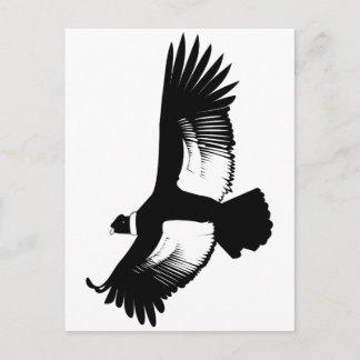 Flying Andean Condor Briefkaart
