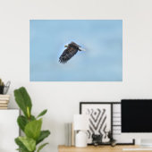 Flying Bald Eagle and Clouds Wildlife Photo Poster (Thuiskantoor)