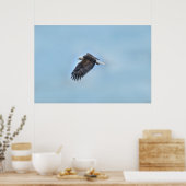 Flying Bald Eagle and Clouds Wildlife Photo Poster (Keuken)