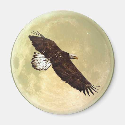 Flying BALD EAGLE & FULL MOON Wildlife Magnet (Voorkant)