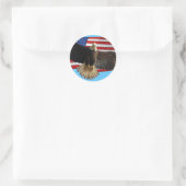 Flying Bald Eagle USA Patriottische Gift Ronde Sticker (Tas)
