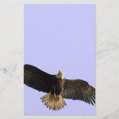 Flying Bald Eagle Wildlife Gift Briefpapier (Voorkant)